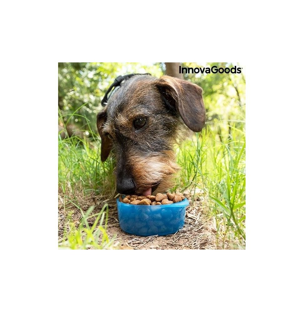 Distributore Acqua Pappy Pets Per Cani E Gatti - Serbatoio In Vetro 720ml, Base Antiscivolo, Insert Antibatterico - Foto 4