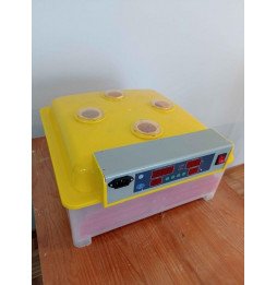Incubadora 36-144 ovos automática