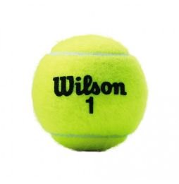 Tubo 4 Bolas de Tenis Wilson Championship Extra Duty